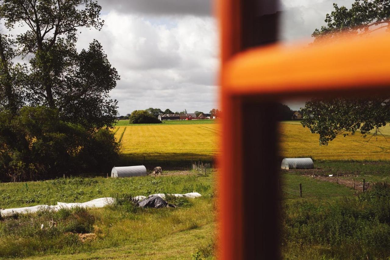 Farm stay Dambaekgaard Sustainable Farm Harlev (Stevns)