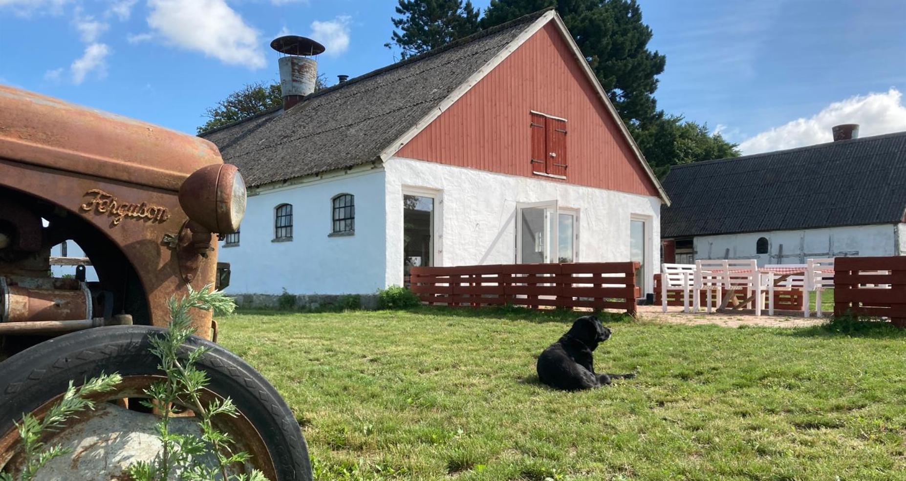 Dambaekgaard Sustainable Farm Harlev (Stevns)
